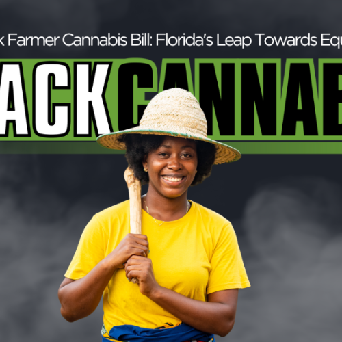 Black Farmer Cannabis Bill: Florida’s Leap Towards Equality