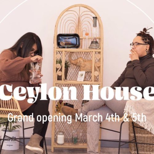 Cannabis Lounge in Montgomery County: The First Marijuana Smoking Lounge in Maryland