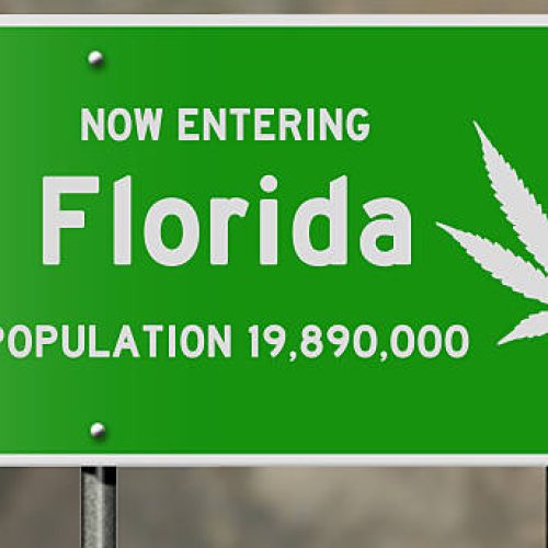 Illustration showing "now entering Florida" highway sign with marijuana leaf, relevant to political issues relating to marijuana use and legalization