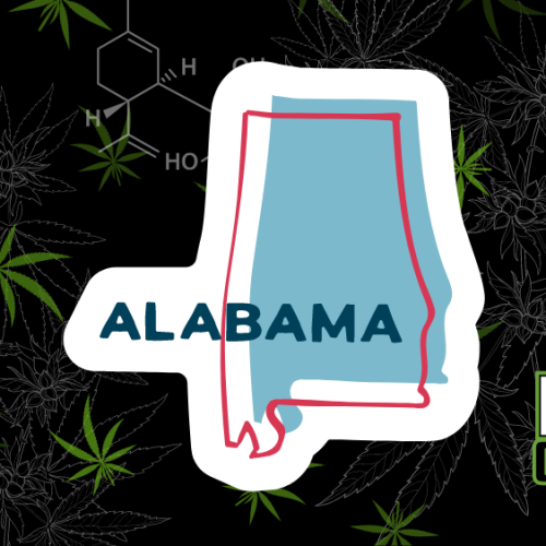 Alabama Medical Cannabis Commission’s Licensing Pause: A Closer Look