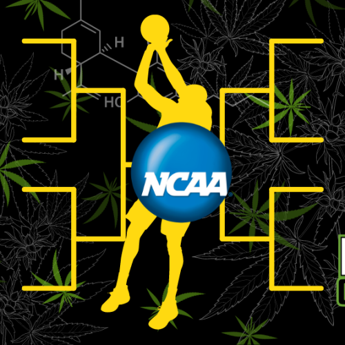 NCAA’s Committee Policy Shift: Cannabis De-classification