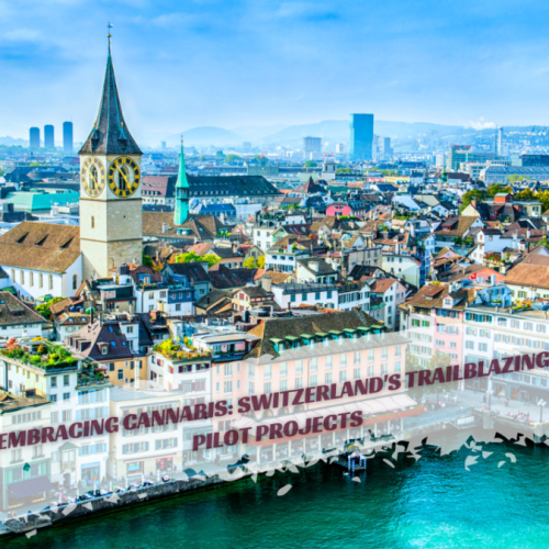 Embracing Cannabis: Switzerland’s Trailblazing Pilot Projects