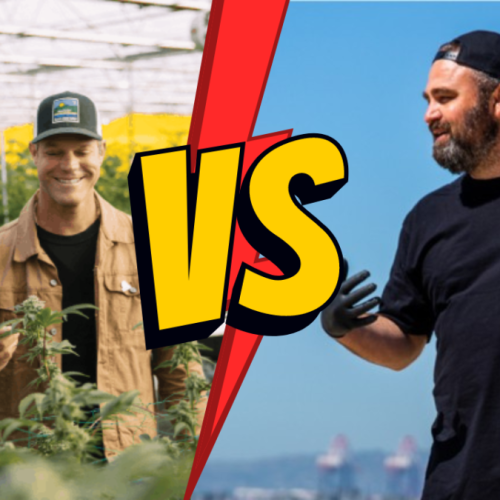 Defamation Lawsuit: Glass House Brands vs. Catalyst Cannabis