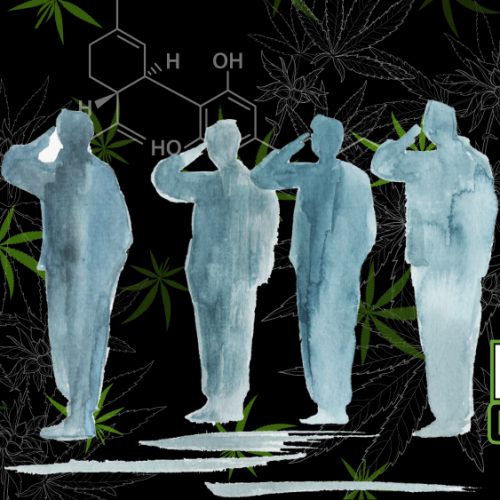 NY CAURD Program Halt: A Temporary Freeze on Licensing