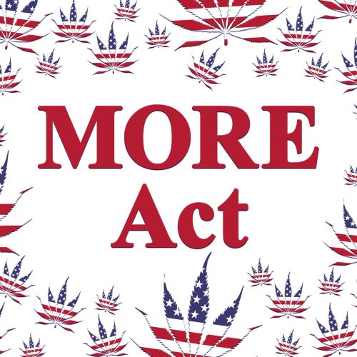 The M.O.R.E. Act Sounds Like More Problems Reps Weigh In