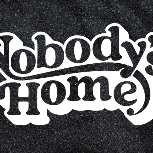 Wilson Chandler’s Nobody’s Home Dispensary Brings High-Quality Cannabis and Jobs to Benton Harbor