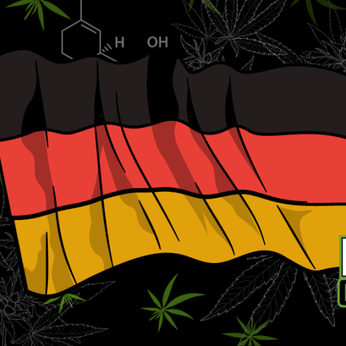 Germany Cannabis Legalization: Draft Law Published