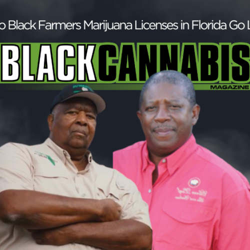 Two Black Farmers Marijuana Licenses in Florida Go Live