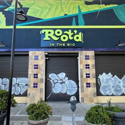 Root’d in the 510 Dispensary: Pioneering Equity in Oakland