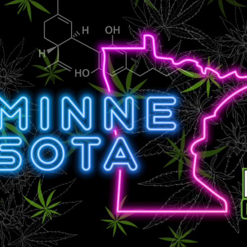 Minnesota Recreational Cannabis: What To Expect