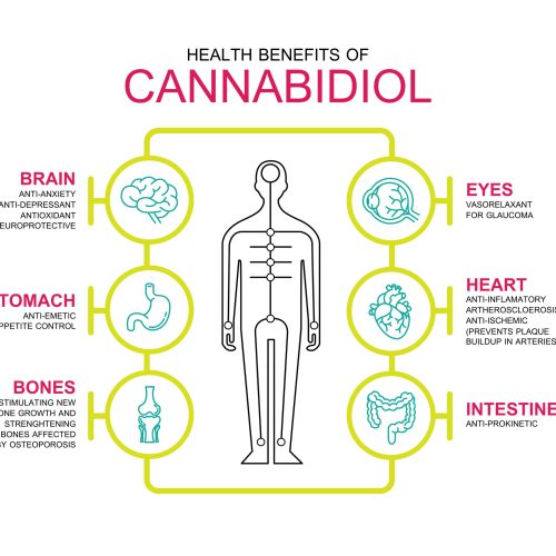 Hemp Compounds Block Human Cell COVID-19 Invasion