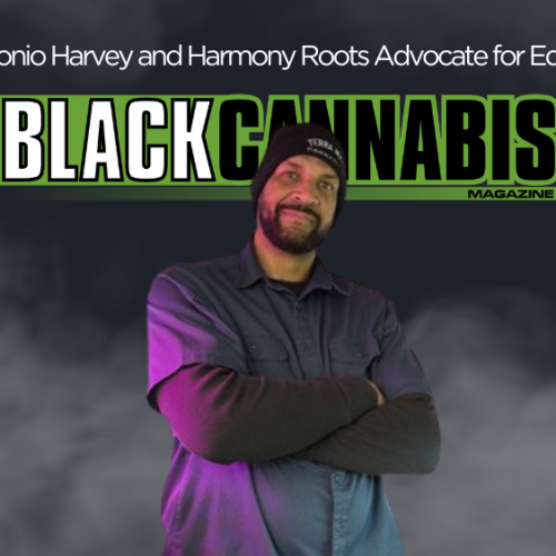 Antonio Harvey Champions Cannabis Equity with Harmony Roots
