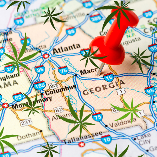 Georgia Embraces Medical Cannabis: Trulieve Dispensaries Open in Marietta and Macon
