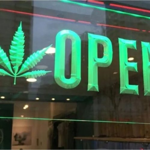 Cannabis Workforce Development: USQTA & CJEI Empower NY’s Returnees