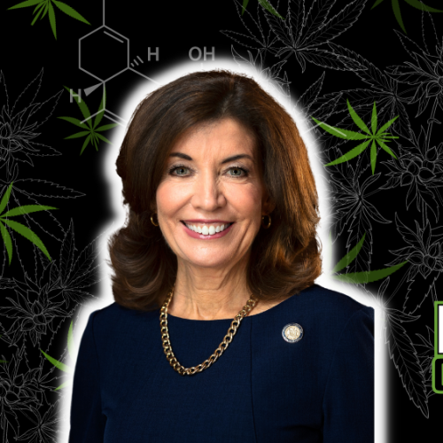 Hochul’s Initiative: New York’s Cannabis Market Regulation