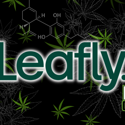 Online Cannabis Ordering: Florida Appeals Court Sides with Leafly