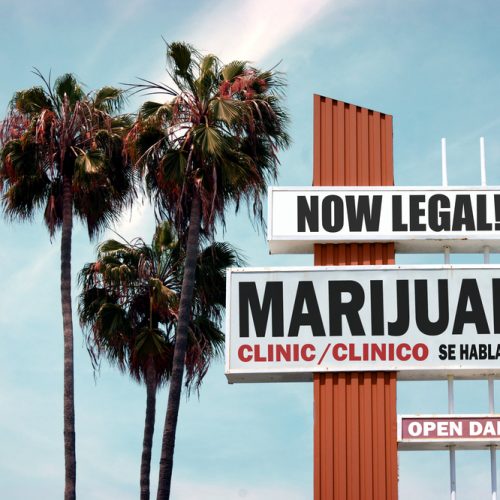 Mexico Legalizes Cannabis: What This Means For A Country Trying To Stay Afloat