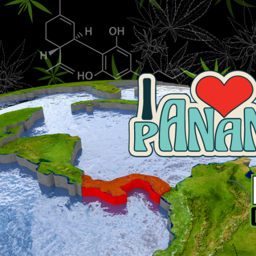 Panama Embraces Medicinal Cannabis: Licensing Process Unveiled