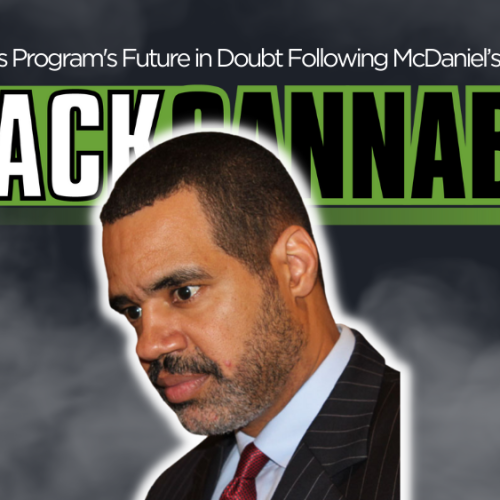NY Cannabis Program’s Future in Doubt McDaniel’s Resigns