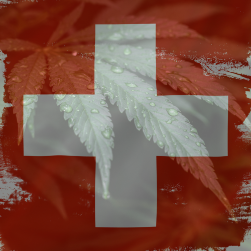 Switzerland Embraces Cannabis Legalization