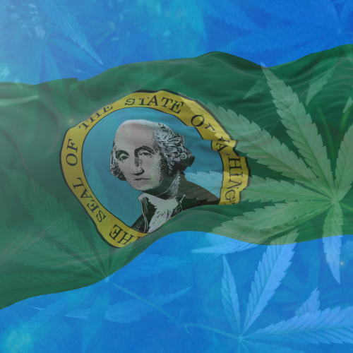 Expanding Cannabis Equity: State House Pushes for Diverse Retail Licenses
