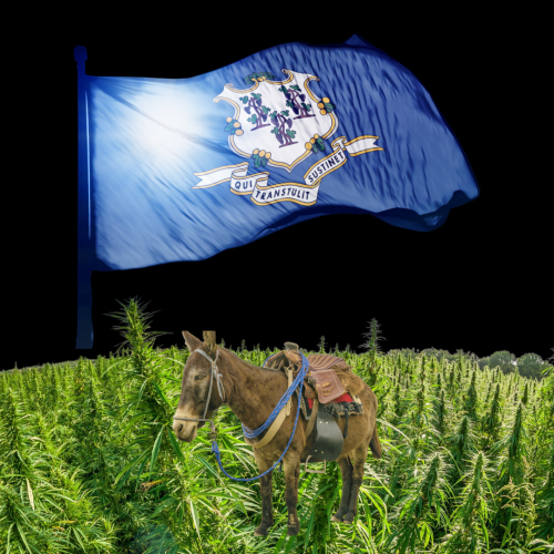 The New 40 Acres & A Mule: Connecticut Prioritizes Black CommunitY for Issuing Recreational Weed Licensing