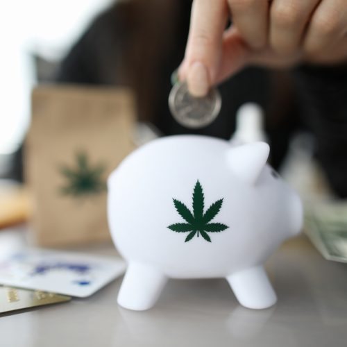 SAFE Act “Marijuana Bill” Going Back to Congress