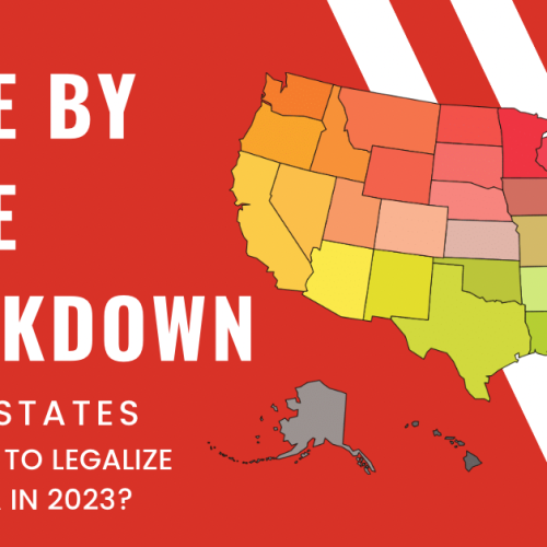 Which US States are Poised to Legalize Cannabis Next?