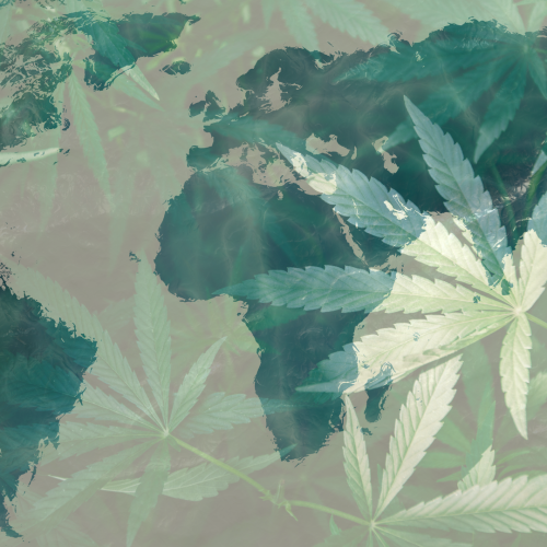 Soaring Cannabis Sales: Top 5 International Markets to Watch