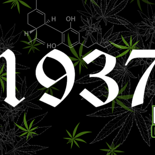 Parkway Dispensary & Molly’s Joint Set to Open in Illinois