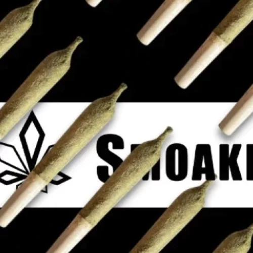 Smoakland’s Crypto Loophole: A Game-Changer for Cannabis Payment Processing