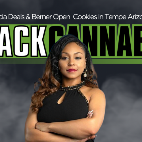 Alicia Deals & Berner Open Cookies in Tempe Arizona