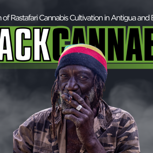 Rastafari Cannabis Cultivation Triumphs in Antigua and Barbuda