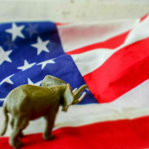 2020 US Presidential Election - Republican Elephant