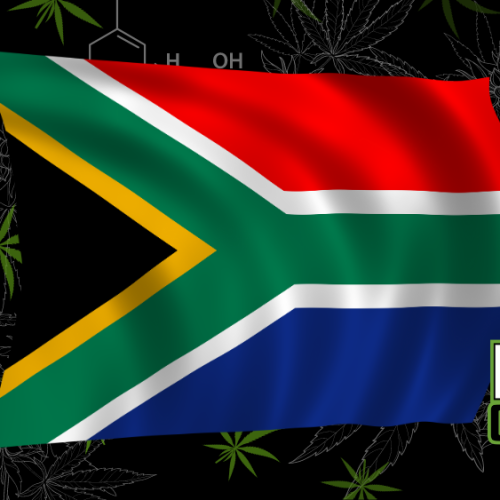 Experience Durban’s Premier Cannabis Expo for Just $7.87!