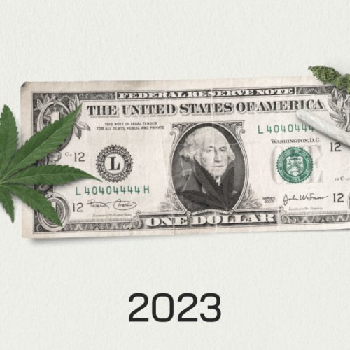 Cannabis Consumption Cities: Revealing Global Leaders