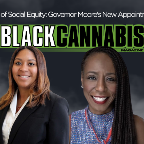 Office of Social Equity: Governor Moore’s New Appointments