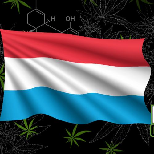 Luxembourg Legalizes Cannabis: A New Era Begins