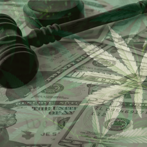 New York Medical Marijuana Companies Sue OCM, Seeking Expansion of Licensing for Retail Dispensaries