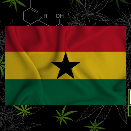 Ghana Greenlights Cannabis: A New Era for Cultivation