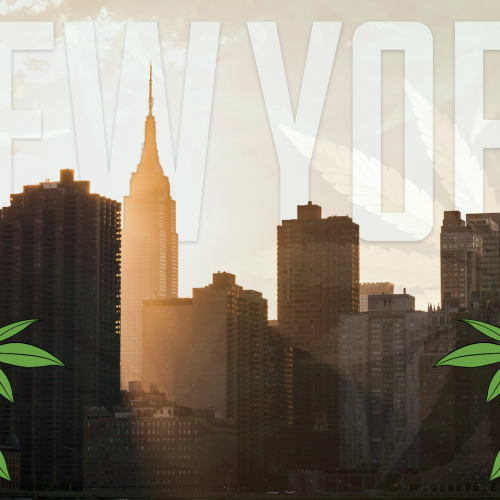 New York’s Green Wave: 99 Provisional Licenses Ignite Recreational Marijuana Market