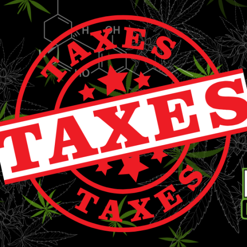 Marijuana Tax Revenue: The Green Rush in States