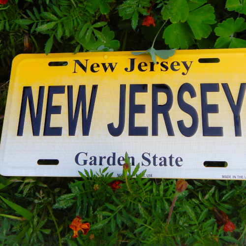 New Jersey Launches Cannabis Equity Grant Program to Support Marijuana Startups