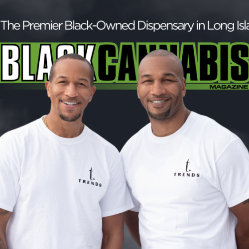 Trends: The Premier Black-Owned Dispensary in Long Island City