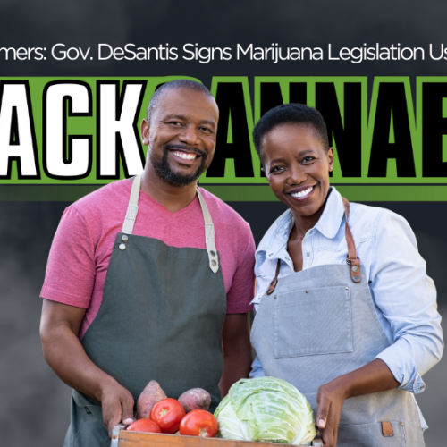 Florida Black Farmers: Gov. DeSantis Signs Marijuana Legislation Ushering Inclusivity