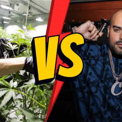 Seed Junky Sues Berner and Cookies For Breach Of Contract, Berner Responds