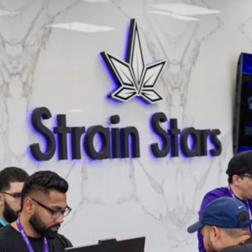 New Dawn with Strain Stars Dispensary in East Farmingdale