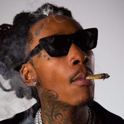 Top Black Celebrity-Involved Cannabis Brands of 2024
