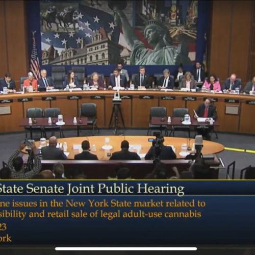 New York Cannabis Hearing Reveals Deep-Seated Issues