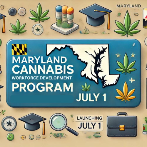 Maryland Launches Workforce Program for Cannabis Offenses